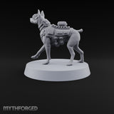At Heel British War Dog Team Member B