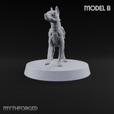 At Heel British War Dog Team Member B