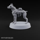 At Heel British War Dog Team Member C