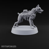 At Heel British War Dog Team Member D
