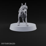 Pointing the Way Human and War Dog Team — B