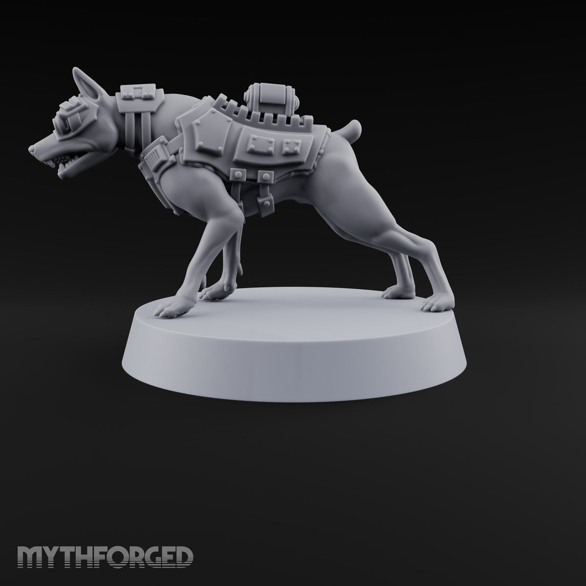 Pointing the Way Human and War Dog Team Member B