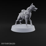 Pointing the Way Human and War Dog Team — C