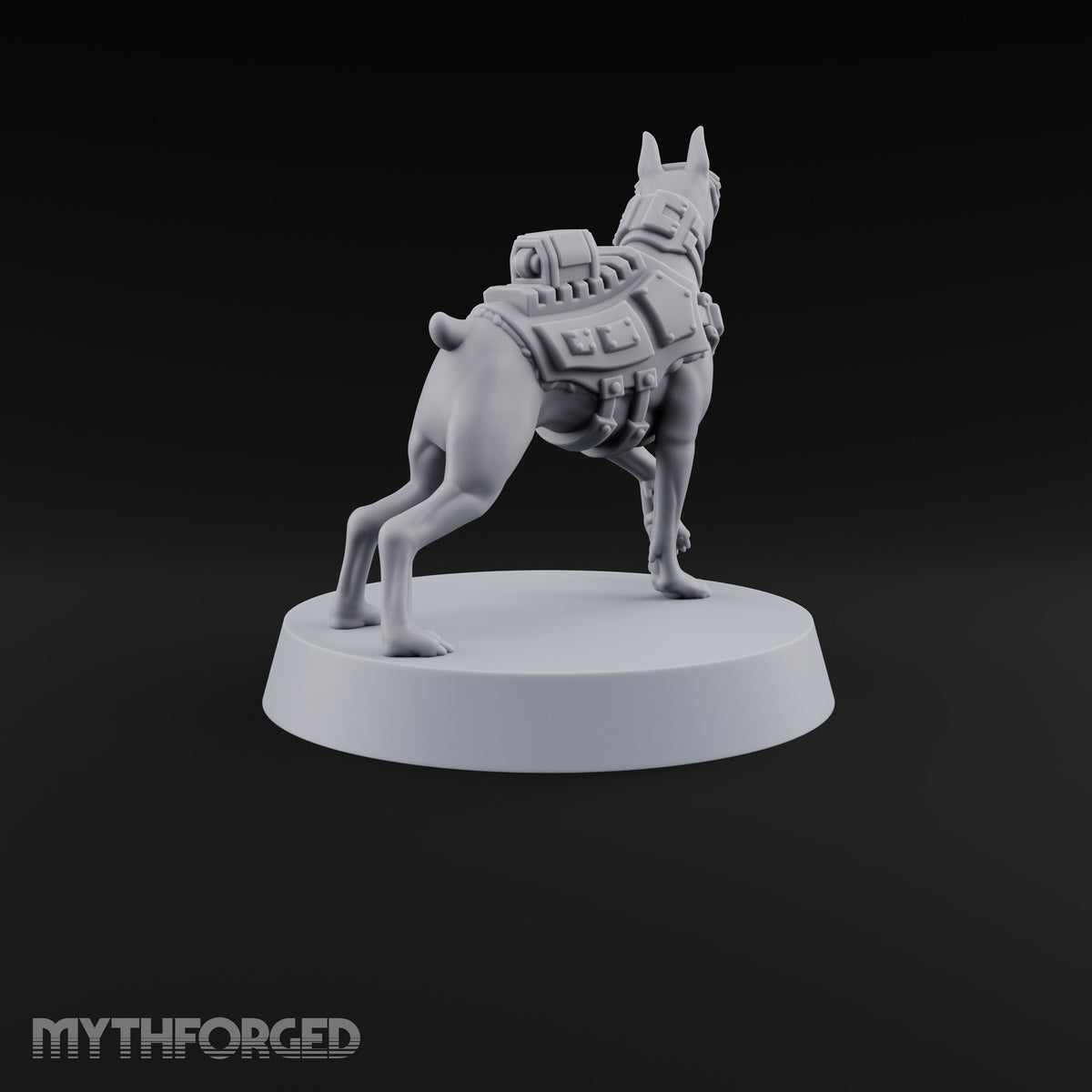 Pointing the Way Human and War Dog Team Member C