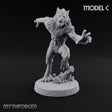 Claws Swiping Werewolf C Miniature for Dungeons and Dragons, Pathfinder or other TTRPGs
