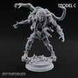 Corruption Spreading Human Warlock C Miniature for Dungeons and Dragons, Pathfinder or other TTRPGs