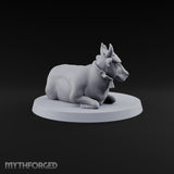 Barnyard Antics Barnyard Animal D — B