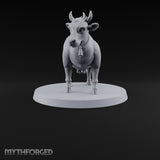 Barnyard Antics Barnyard Animal D — C