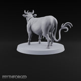 Barnyard Antics Barnyard Animal D — C