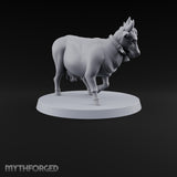 Barnyard Antics Barnyard Animal D — D