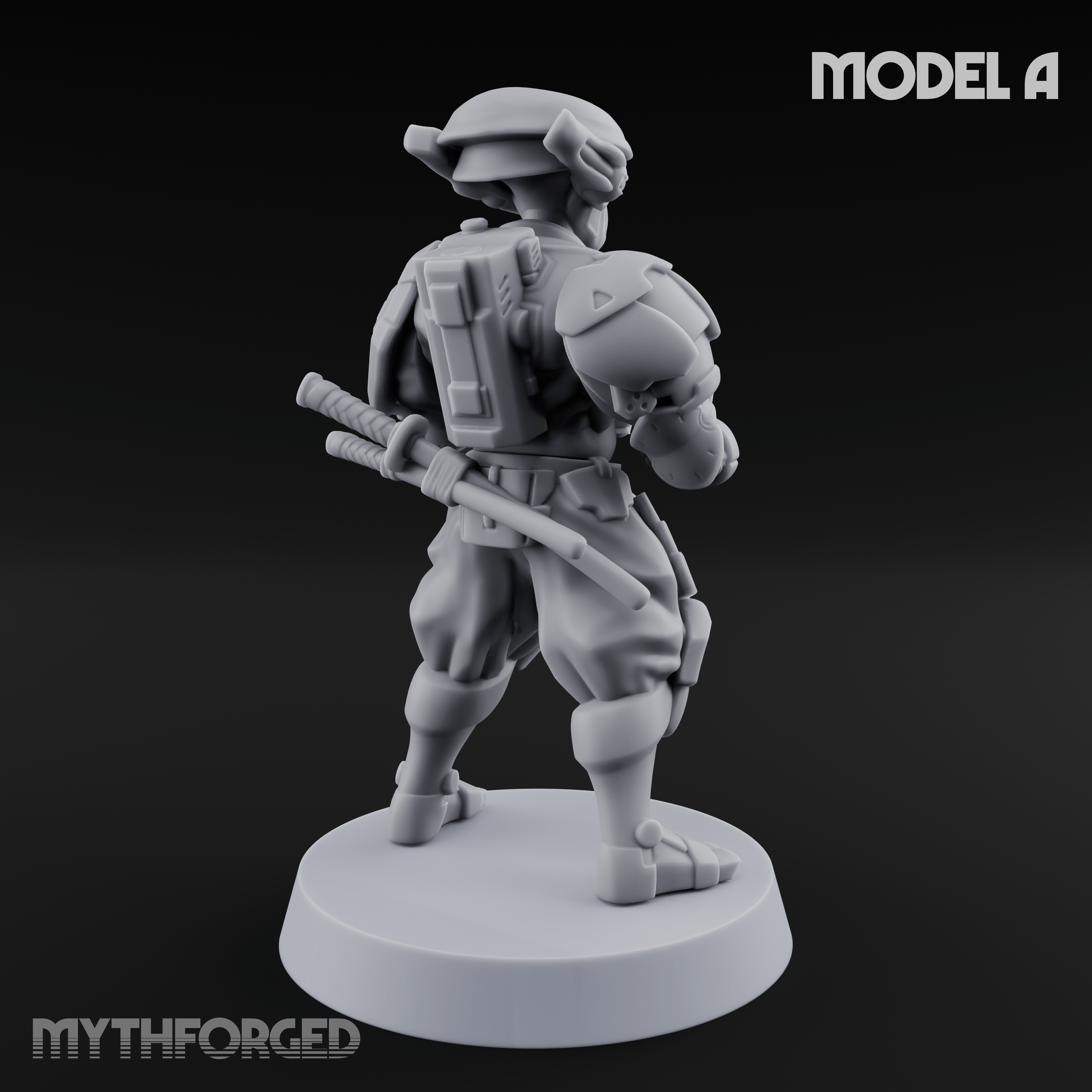 Locked And Loaded Cyber Ninjas A