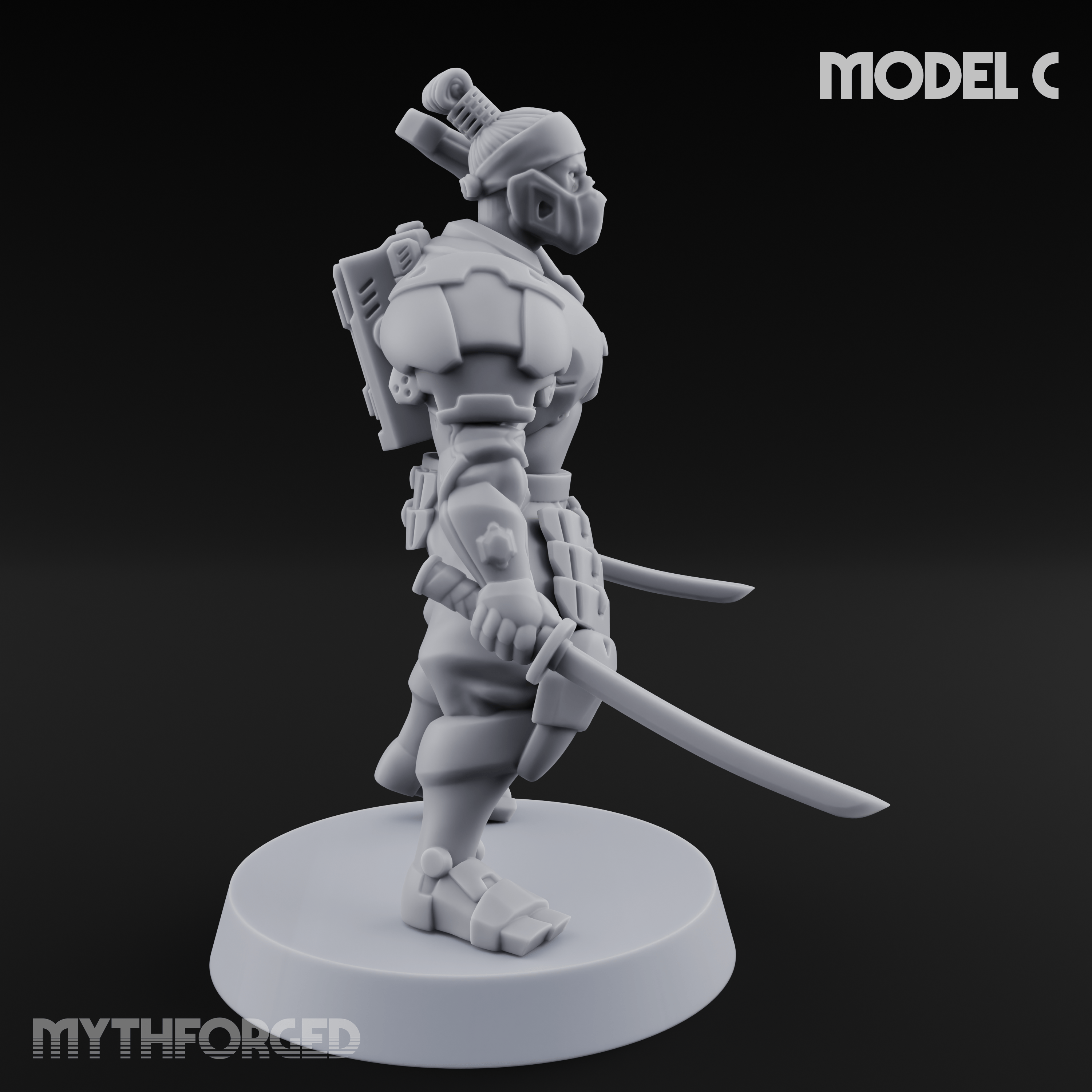 Locked And Loaded Cyber Ninjas C