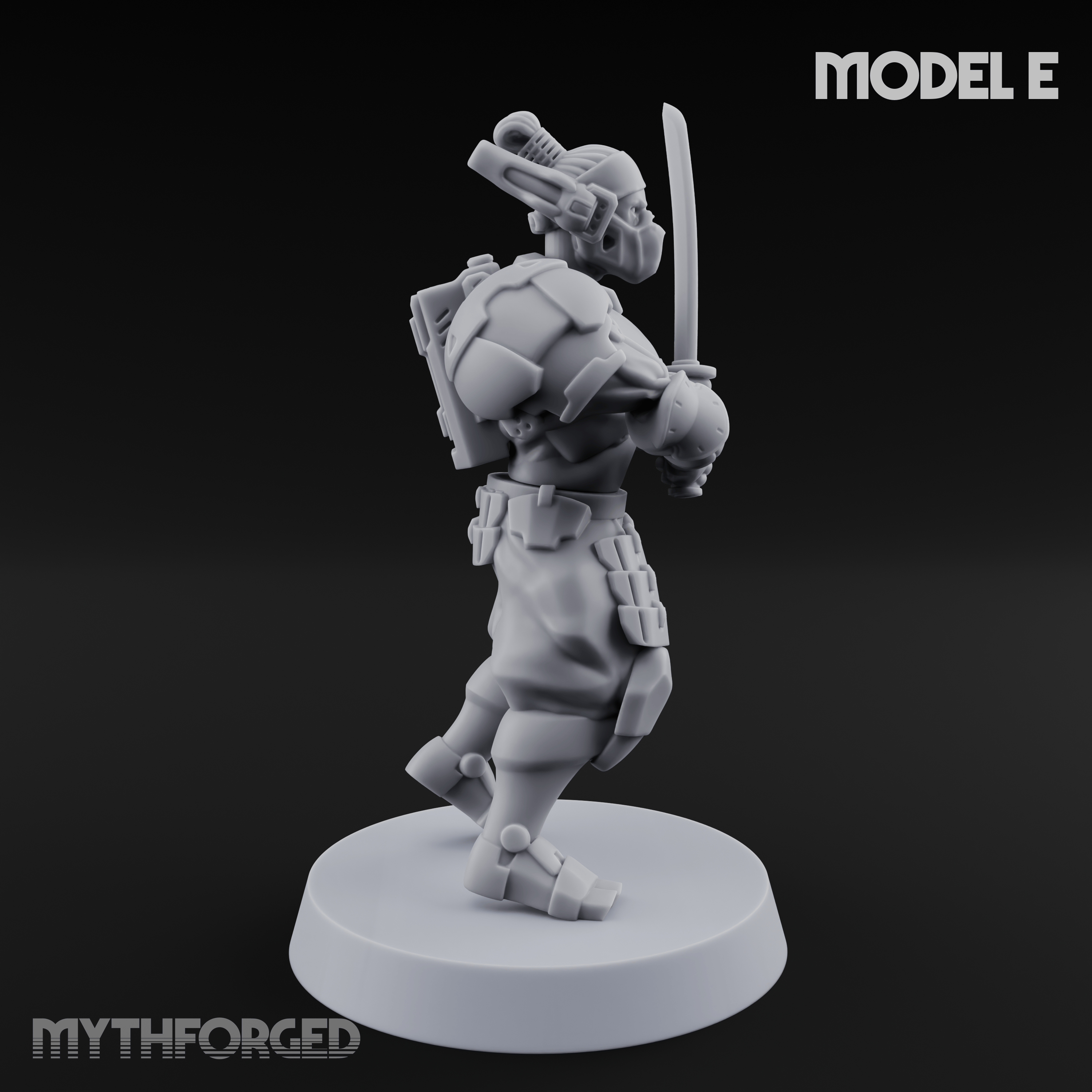 Locked And Loaded Cyber Ninjas E