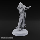 Hanging Hems Wraith Sword Warriors — A