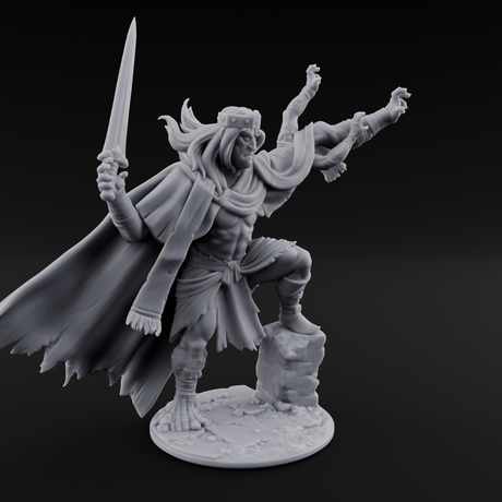 Dabbling in Magic Human Barbarian King Miniature for Dungeons and Dragons, Pathfinder or other TTRPGs