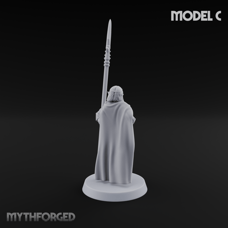 Spear Warden Elf Warriors C Miniature for Dungeons and Dragons, Pathfinder or other TTRPGs