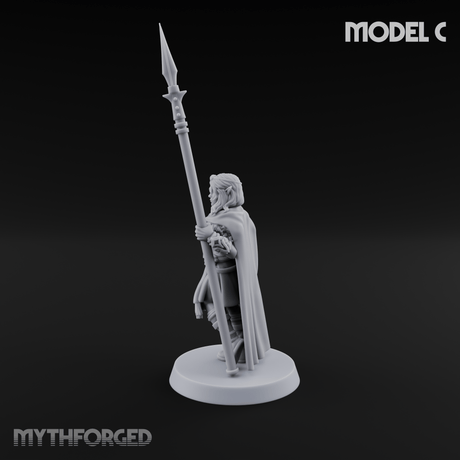 Spear Warden Elf Warriors C Miniature for Dungeons and Dragons, Pathfinder or other TTRPGs