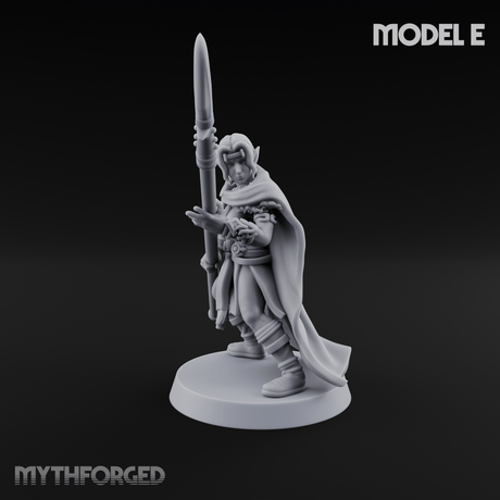 Spear Warden Elf Warriors E Miniature for Dungeons and Dragons, Pathfinder or other TTRPGs