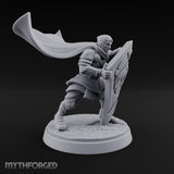 Braced Against the Gale Human Shield Knight