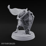 Braced Against the Gale Human Shield Knight