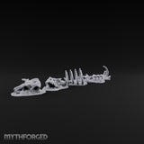 Picked Over and Proud Dragon Skeleton Remains