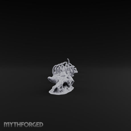 Picked Over and Proud Dragon Skeleton Remains