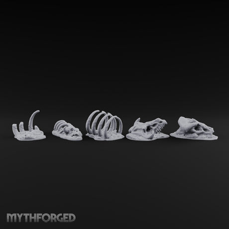 Picked Over and Proud Dragon Skeleton Remains