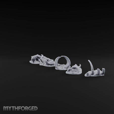 Picked Over and Proud Dragon Skeleton Remains