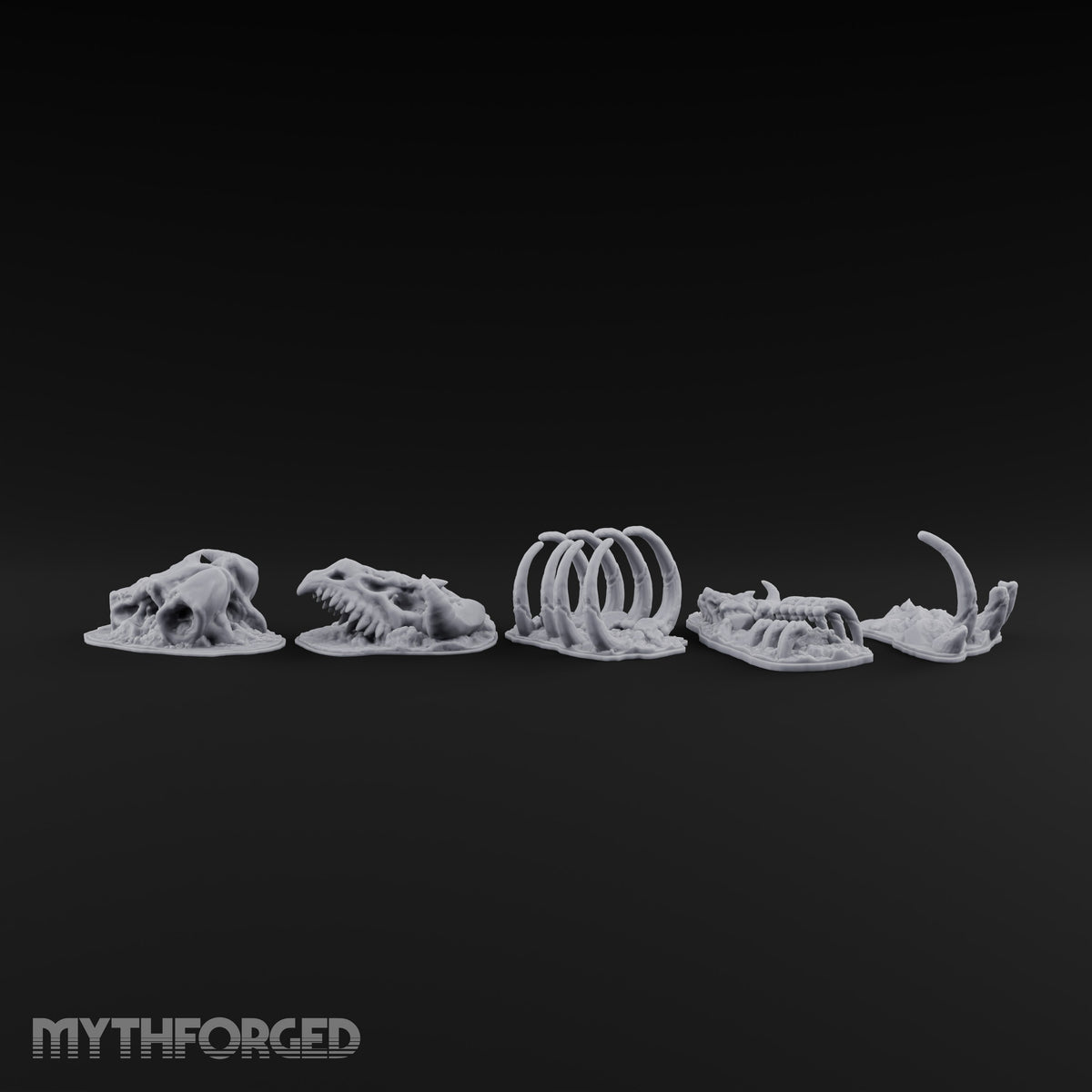 Picked Over and Proud Dragon Skeleton Remains