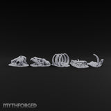 Picked Over and Proud Dragon Skeleton Remains