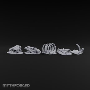 Picked Over and Proud Dragon Skeleton Remains