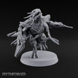 Wall of Shield Dragonborn Champion