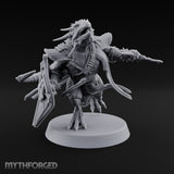 Wall of Shield Dragonborn Champion