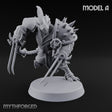 Spiked Shields, Twin Claws Dragonborn Reaver A