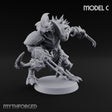 Spiked Shields, Twin Claws Dragonborn Reaver C