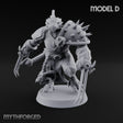 Spiked Shields, Twin Claws Dragonborn Reaver D