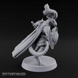 Shield Turned, Cloak Streaming Dragonborn Swordsman Leader