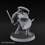 Dual Blade Drawing Human Shogunate Cleric gallery 15