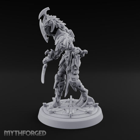 Barbed Remarks Drow Raider A