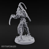 Barbed Remarks Drow Raider C