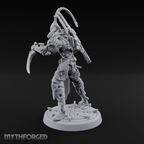 Barbed Remarks Drow Raider C