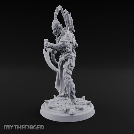 Barbed Remarks Drow Raider C