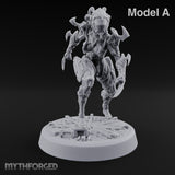 Light Feet, Heavy Edges Elf Blade Dancers — A