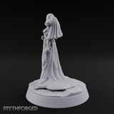 Flowing Regally Human Noble Miniature for Dungeons and Dragons, Pathfinder or other TTRPGs