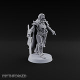 Armour Still Smouldering, Grudge Intact Elf Paladin Warrior