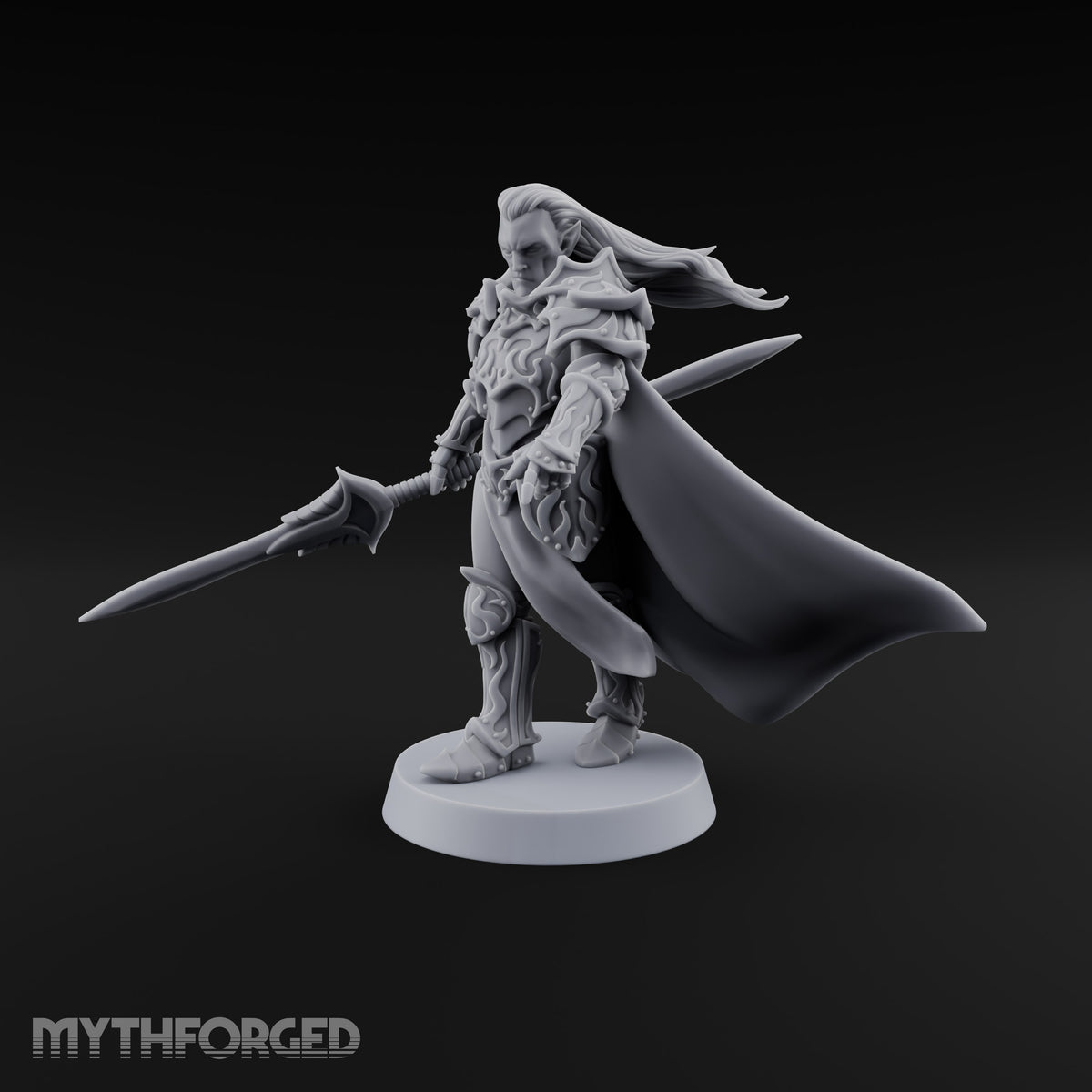 Armour Still Smouldering, Grudge Intact Elf Paladin Warrior