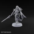 Armour Still Smouldering, Grudge Intact Elf Paladin Warrior