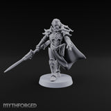 Armour Still Smouldering, Grudge Intact Elf Paladin Warrior