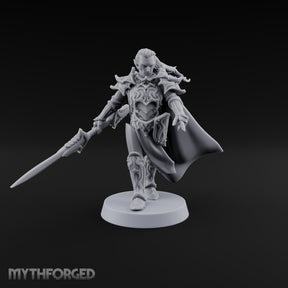 Armour Still Smouldering, Grudge Intact Elf Paladin Warrior