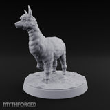 Fluff Above Its Station Alpaca Beast